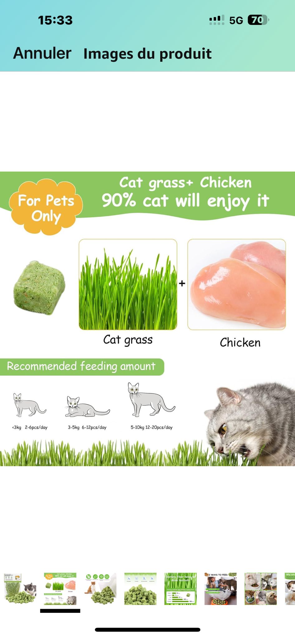 Freeze Dried Catnip Treats
