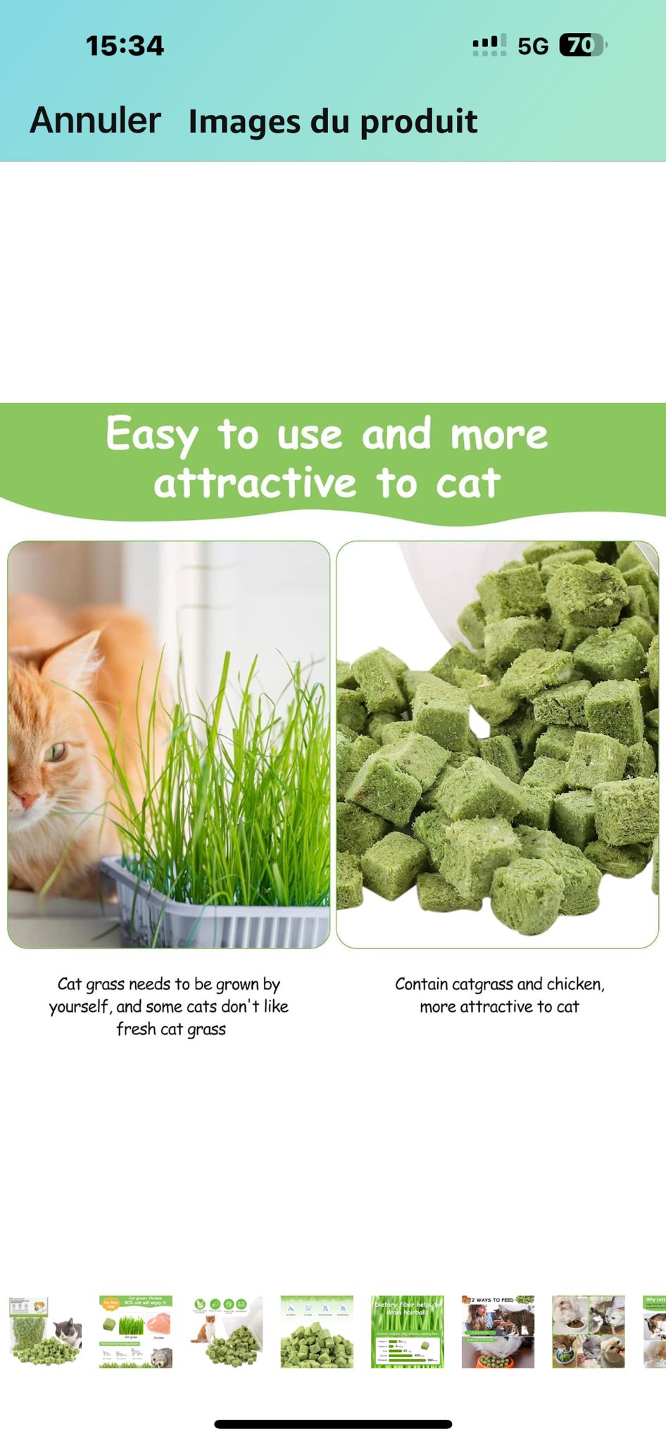 Freeze Dried Catnip Treats