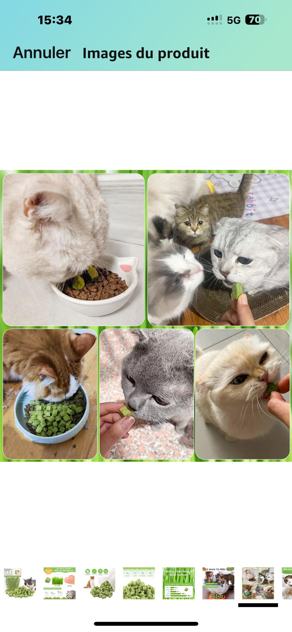 Freeze Dried Catnip Treats