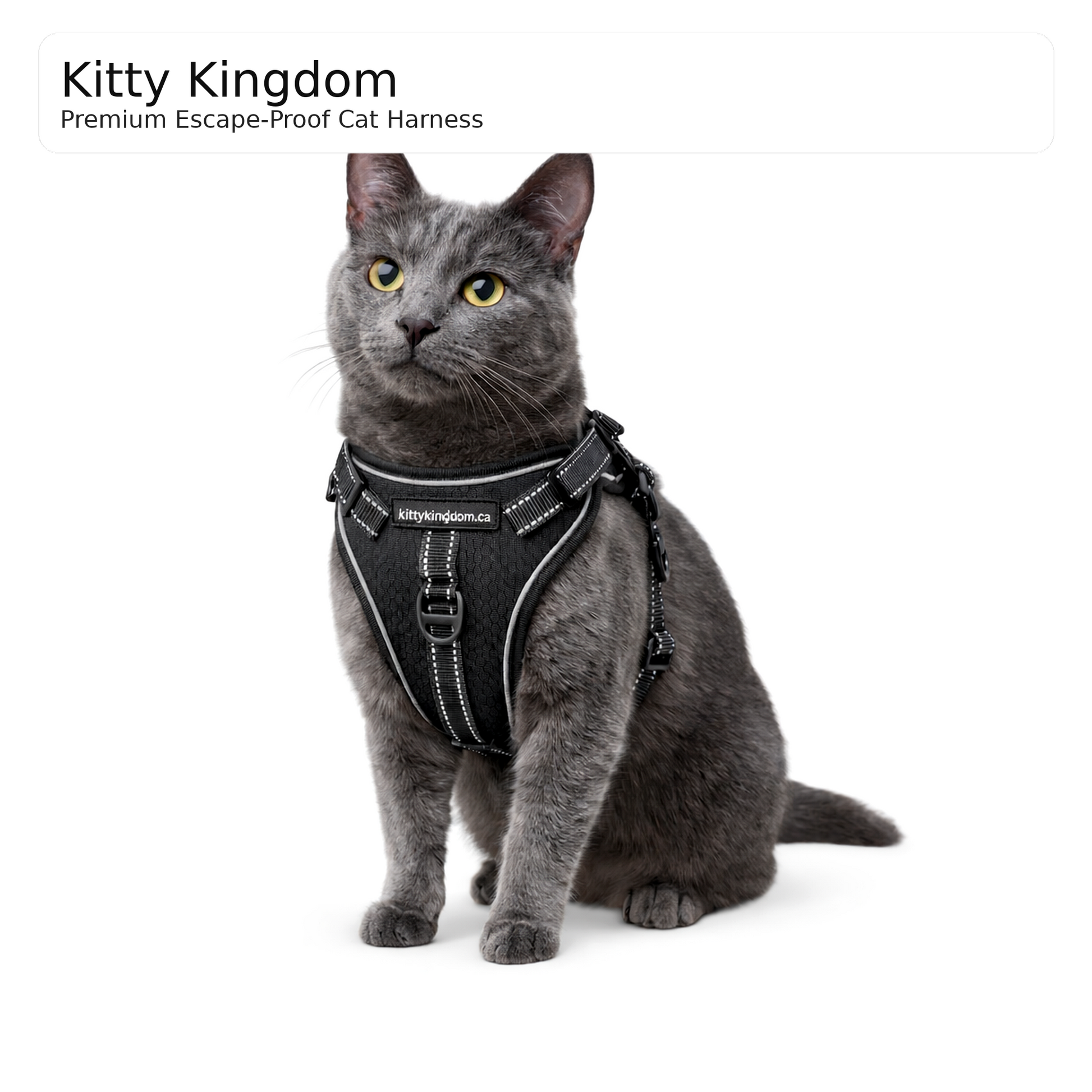 Kitty Kingdom Adventure Cat Harness (Escape-Resistant) - kittykingdom.ca