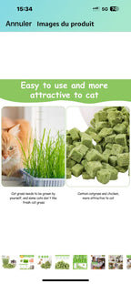Freeze Dried Catnip Treats - kittykingdom.ca