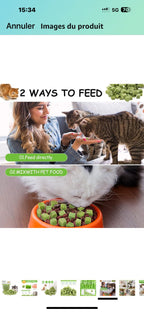 Freeze Dried Catnip Treats - kittykingdom.ca