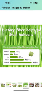 Freeze Dried Catnip Treats - kittykingdom.ca