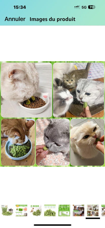 Freeze Dried Catnip Treats