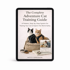 The Complete Kitty Kingdom Adventure Cat Training Guide
