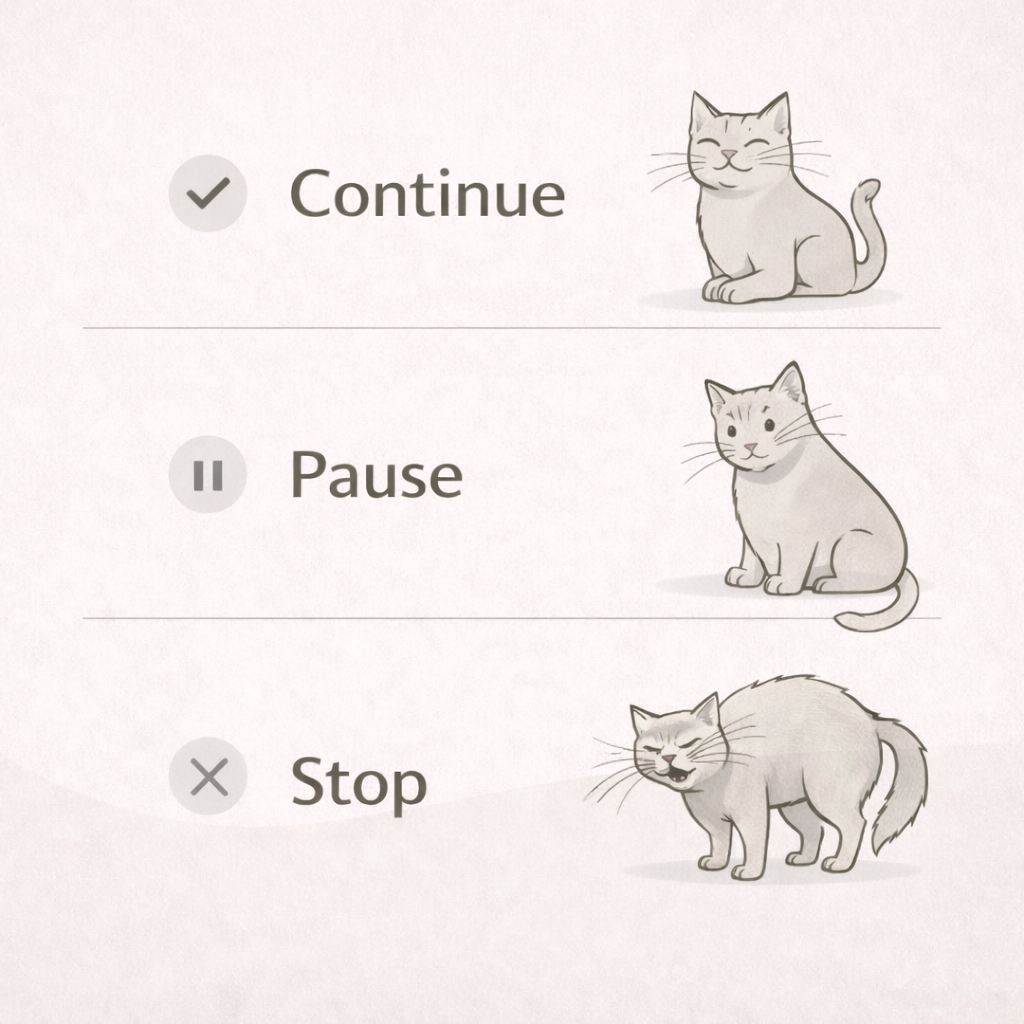 The Complete Kitty Kingdom Adventure Cat Training Guide