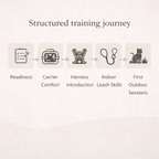 The Complete Kitty Kingdom Adventure Cat Training Guide