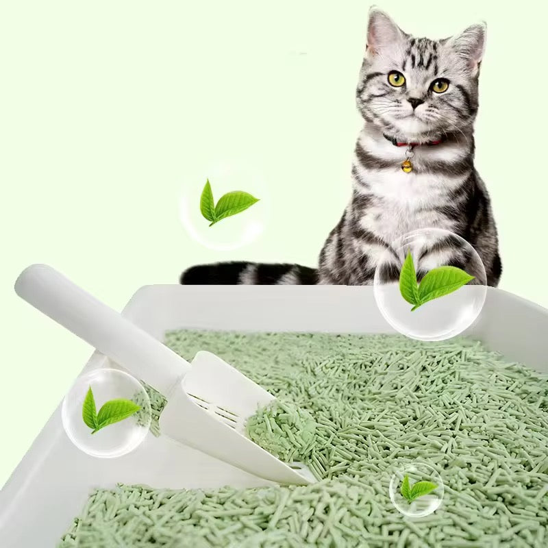 Pea Cat Litter