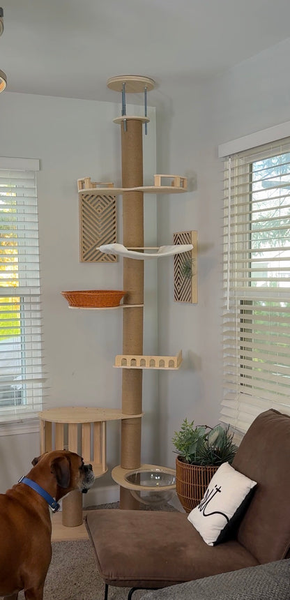 Cat tree in a room with a dog and a couch