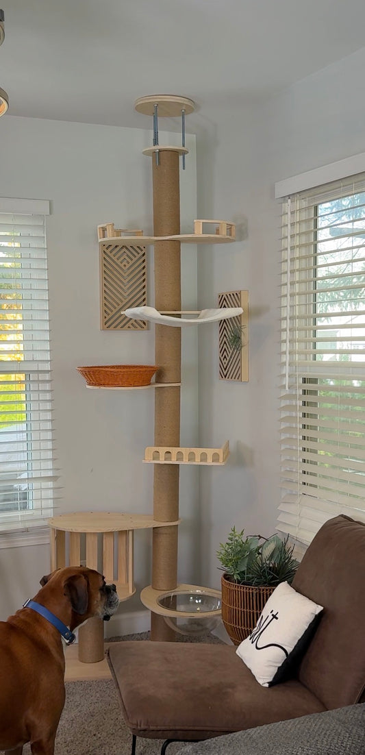 Cat tree in a room with a dog and a couch