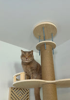 Kitty Kingdom Cat Tree - Premium Model - kittykingdom.ca