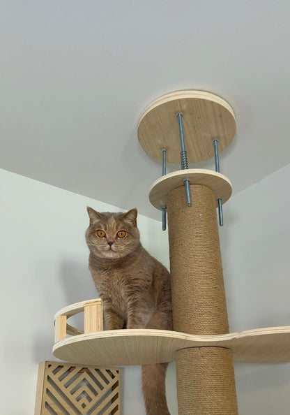 Kitty Kingdom Cat Tree - Premium Model