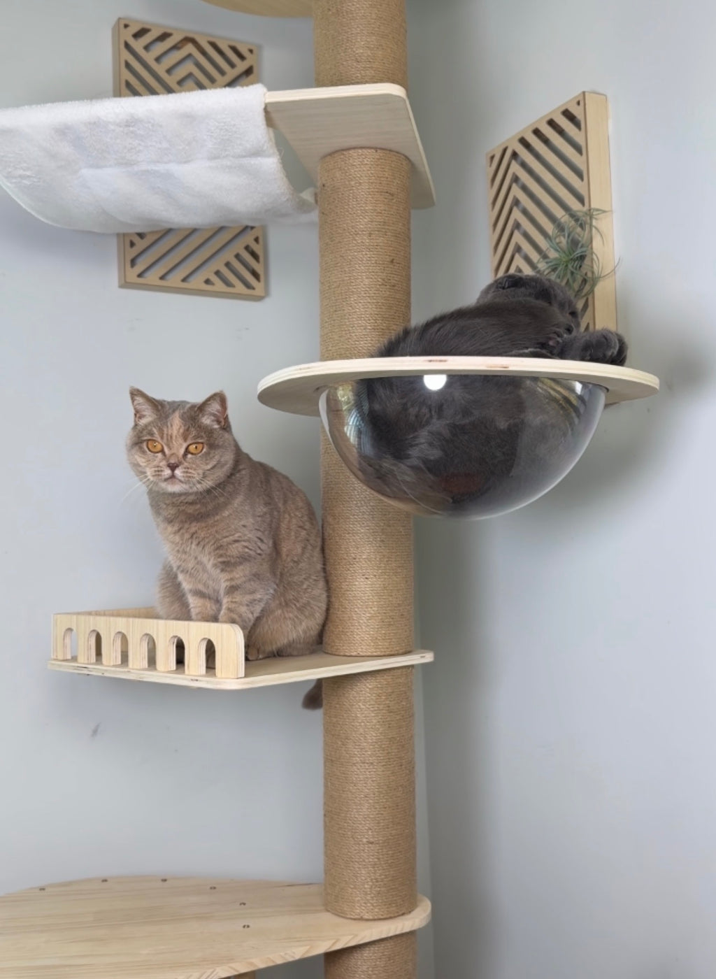 Kitty Kingdom Cat Tree - Premium Model - kittykingdom.ca