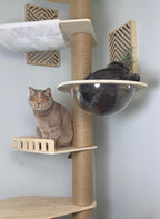 Kitty Kingdom Cat Tree - Premium Model - kittykingdom.ca