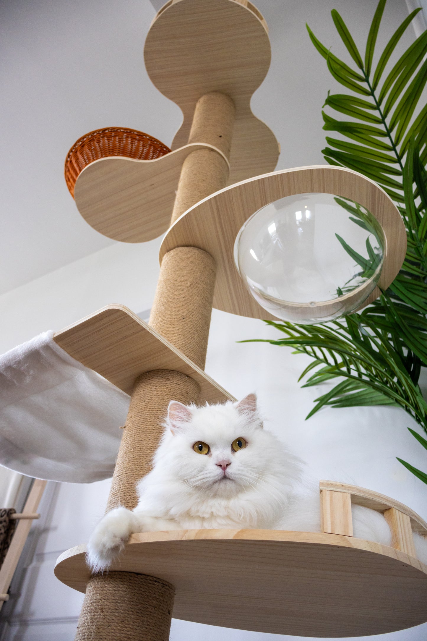 Kitty Kingdom Cat Tree