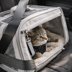 Kitty Kingdom Travel Bag