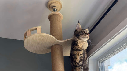 Kitty Kingdom Cat Tree - Original Edition