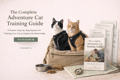 The Complete Kitty Kingdom Adventure Cat Training Guide - kittykingdom.ca