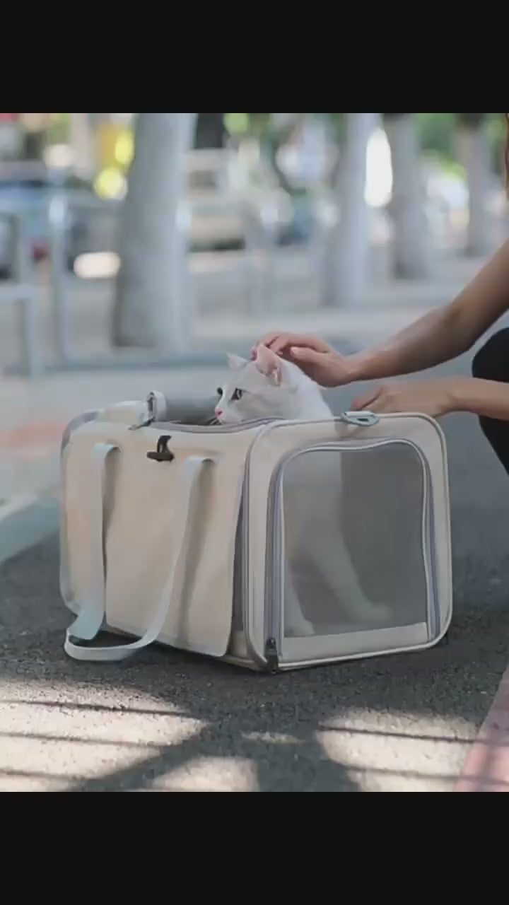 Kitty Kingdom Adventure Travel Bag (Carrier)