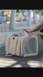 Kitty Kingdom Adventure Travel Bag (Carrier)